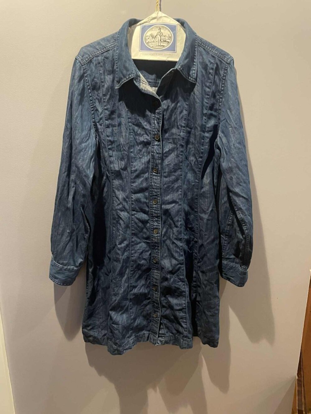Madewell Denim Seamed Mini Dress in Clearfield Wash, Size 10